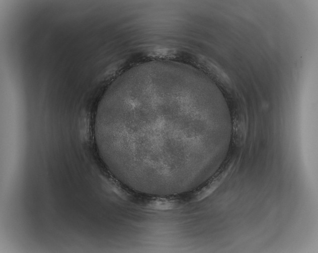 X0000112020416200908171434