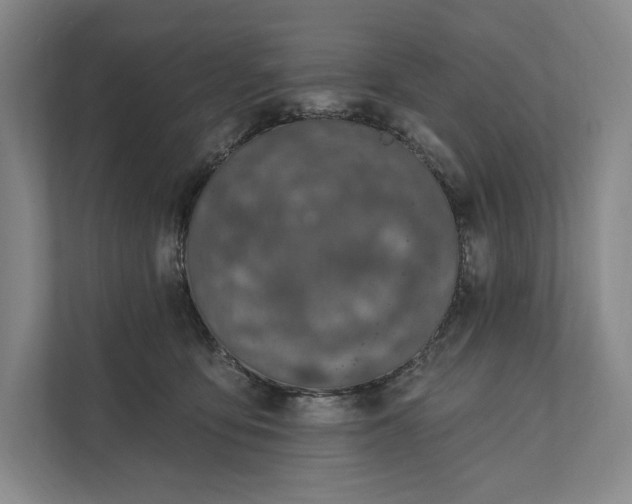 X0000112020419200908171434