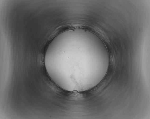 X0000112020421200908171434