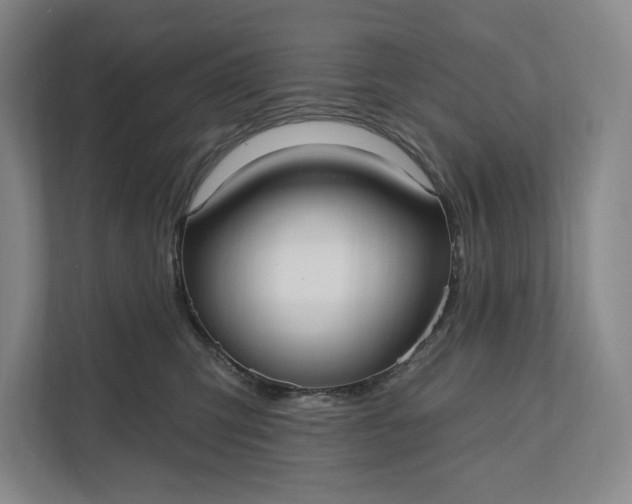 X0000112020423200908171434