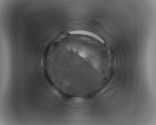 X0000112020424200908171434