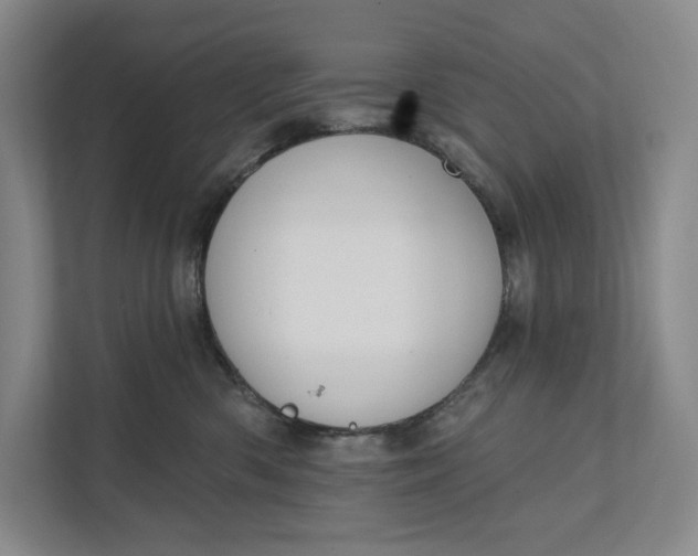 X0000112020426200908171434