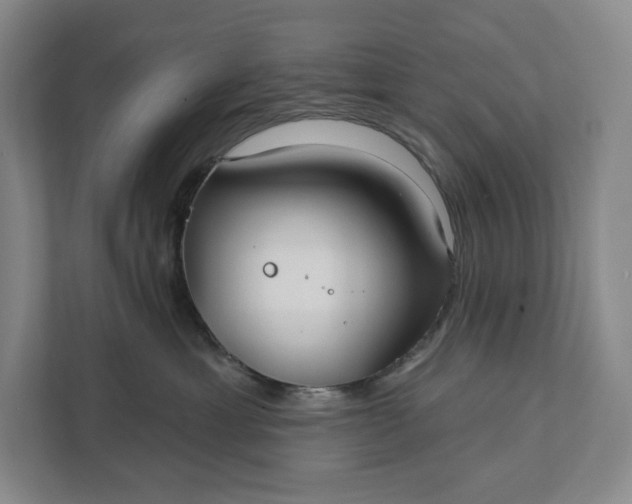 X0000112020429200908171434