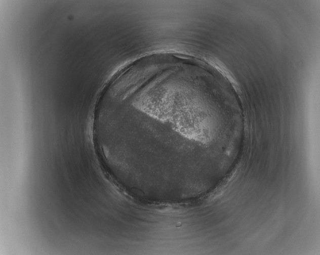 X0000112020434200908171433