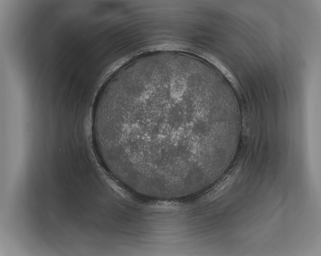 X0000112020437200908171433