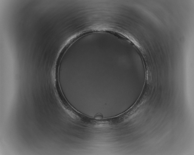 X0000112020438200908171433