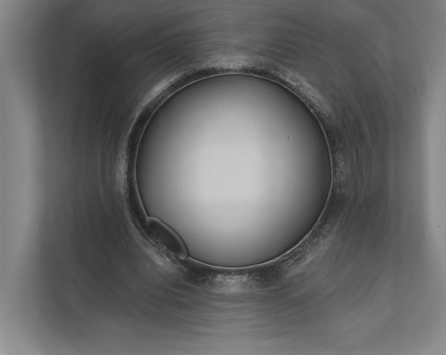 X0000112020440200908171433