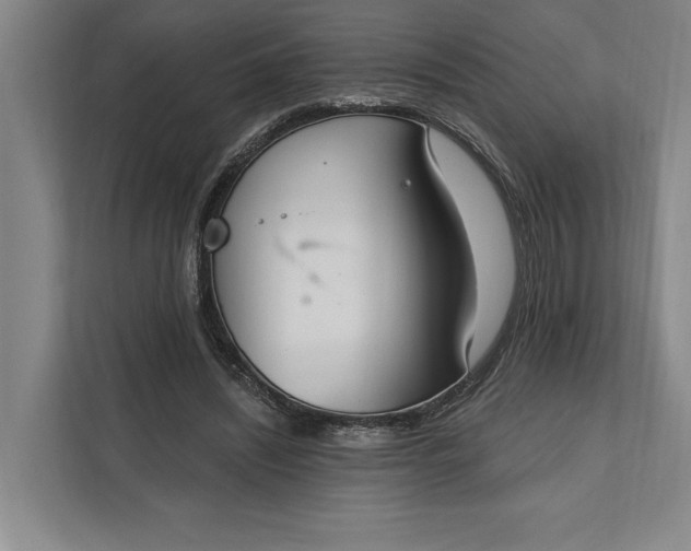 X0000112020444200908171433