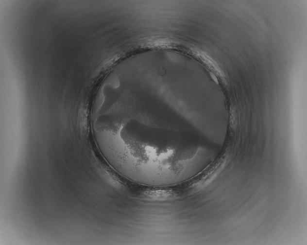 X0000112020449200908171433