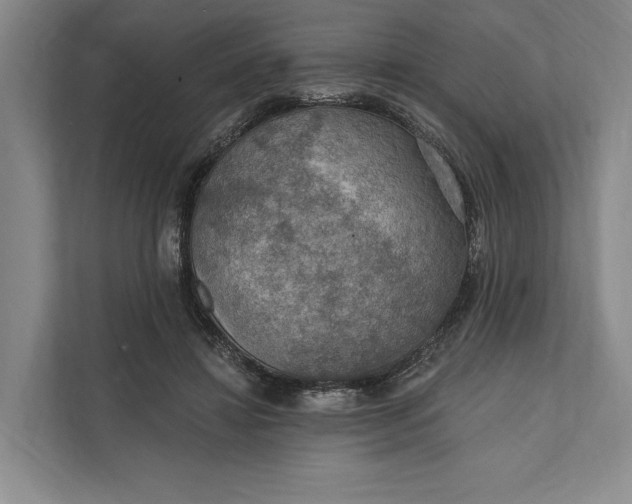 X0000112020452200908171433