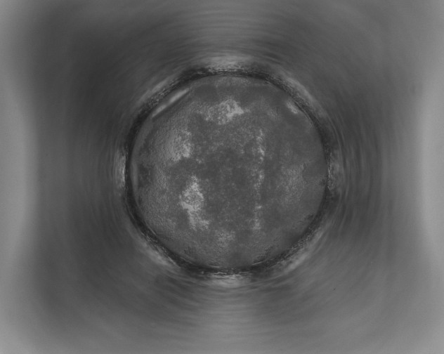 X0000112020454200908171433