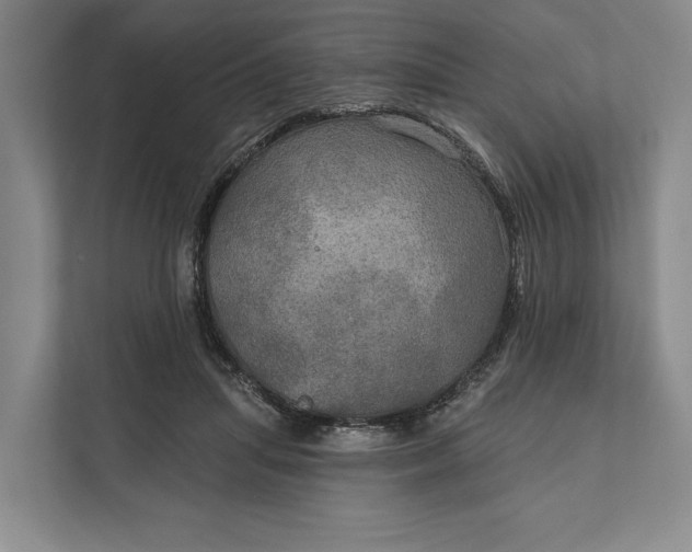 X0000112020455200908171433