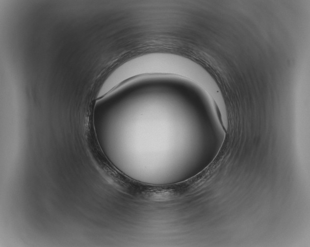 X0000112020456200908171433