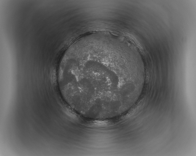 X0000112020457200908171433