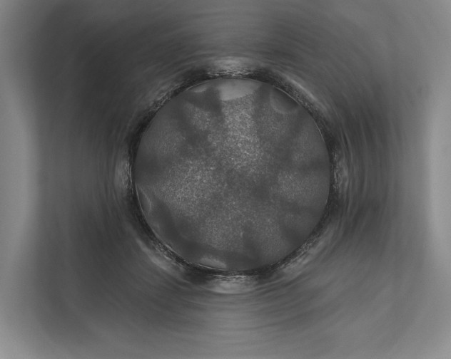 X0000112020459200908171433