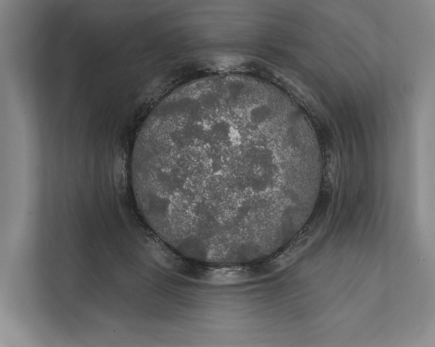 X0000112020461200908171434