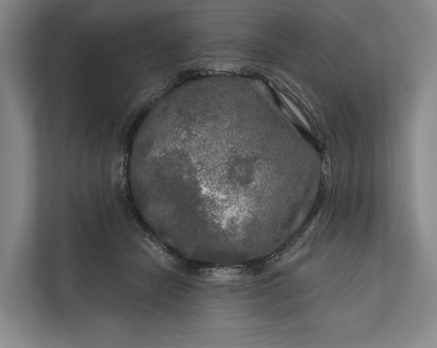 X0000112020462200908171434