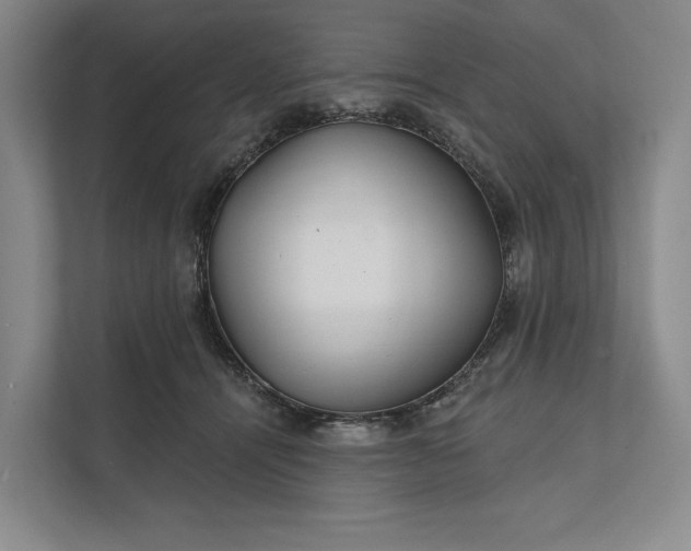 X0000112020464200908171434