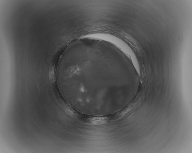 X0000112020465200908171434