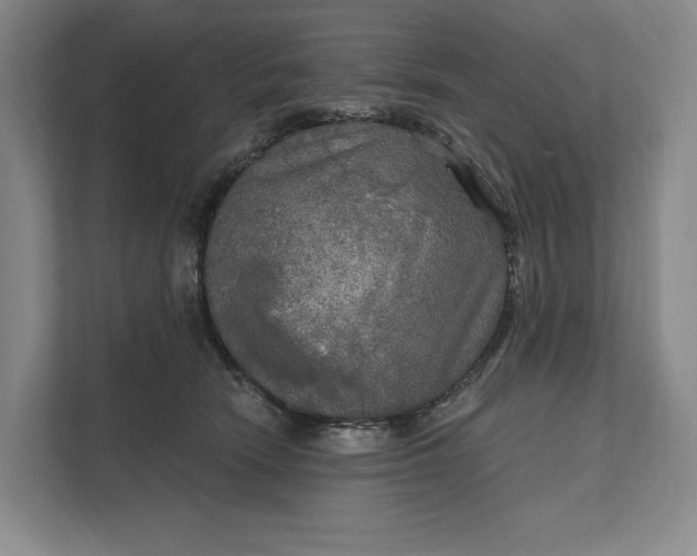 X0000112020466200908171434