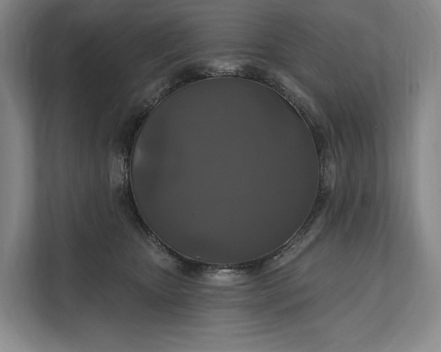 X0000112020467200908171434