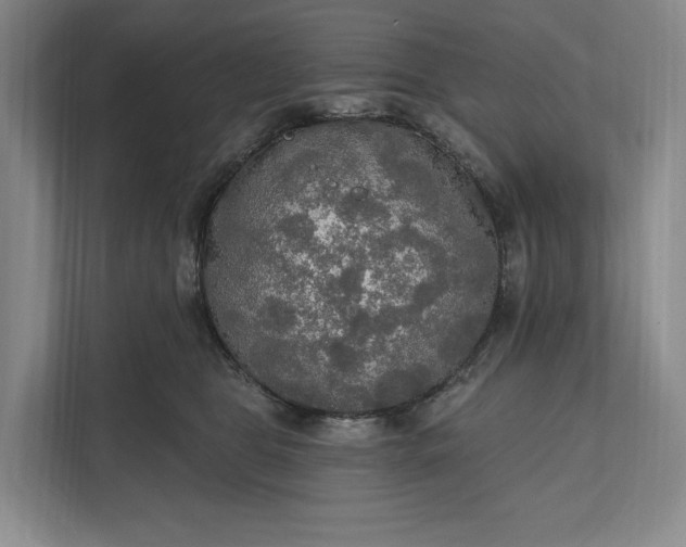 X0000112020469200908171434