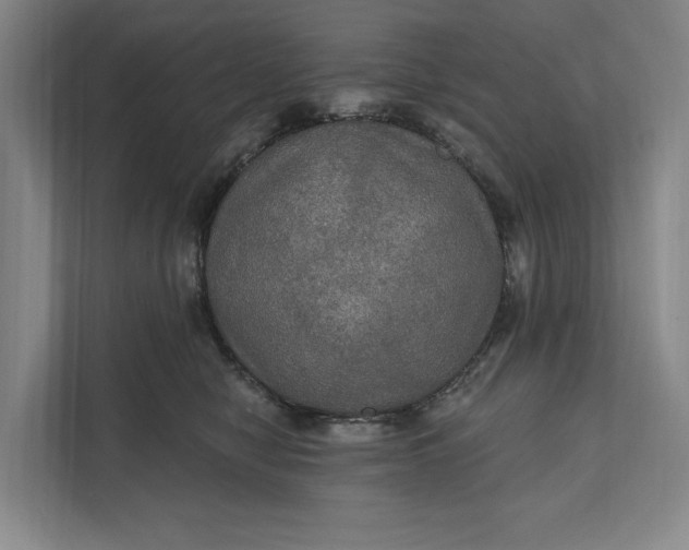 X0000112020470200908171434