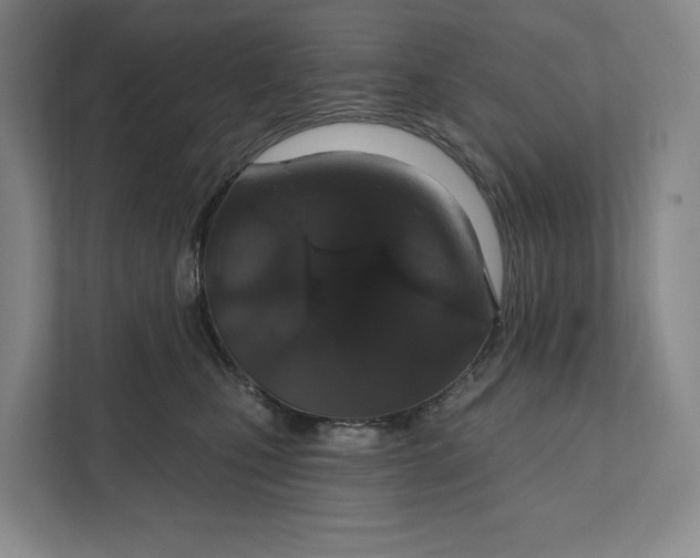 X0000112020471200908171434