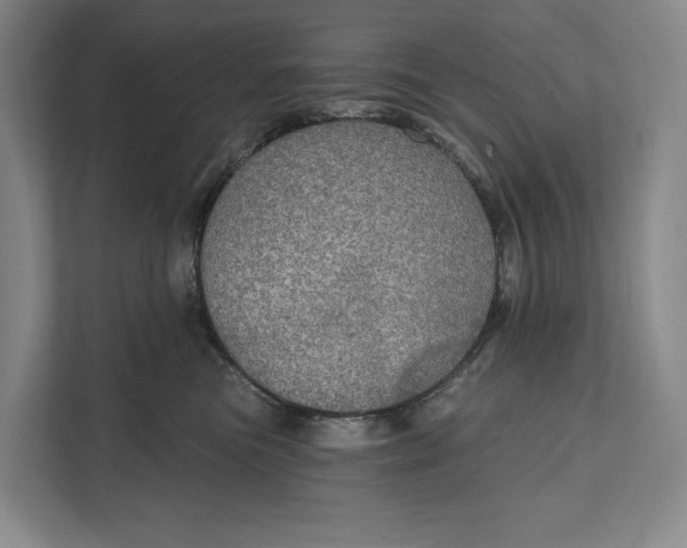 X0000112020473200908171434