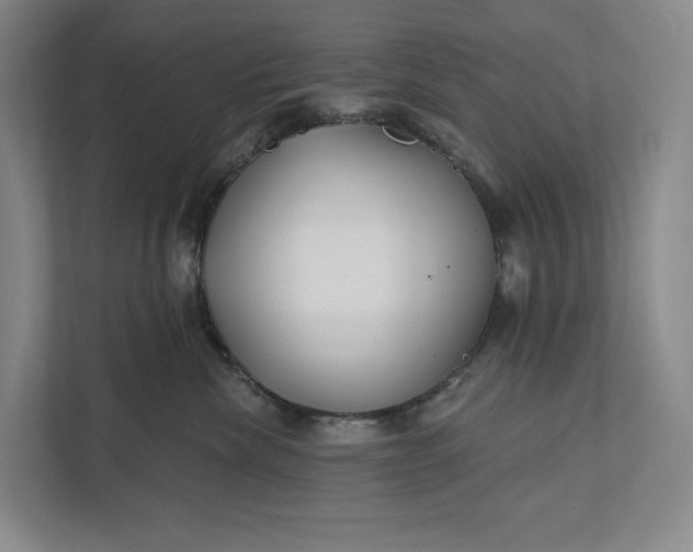 X0000112020476200908171434