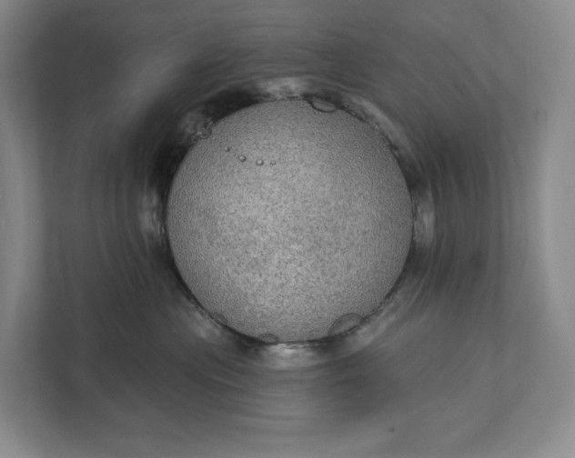 X0000112020477200908171434