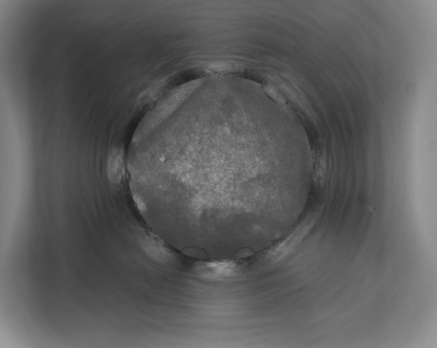 X0000112020478200908171434