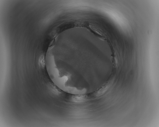 X0000112020479200908171434