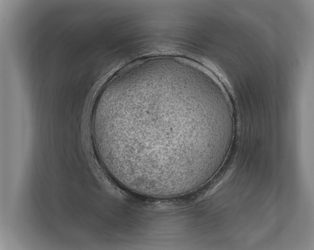 X0000112020481200908171433