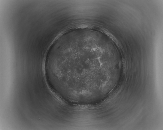 X0000112020482200908171433