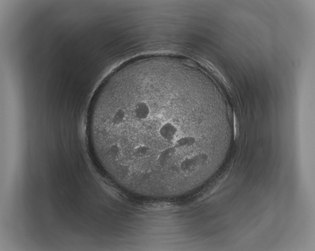 X0000112020483200908171433