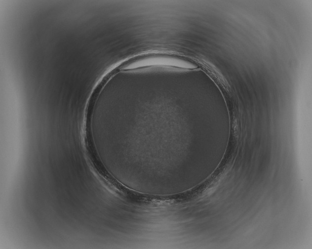 X0000112020484200908171433