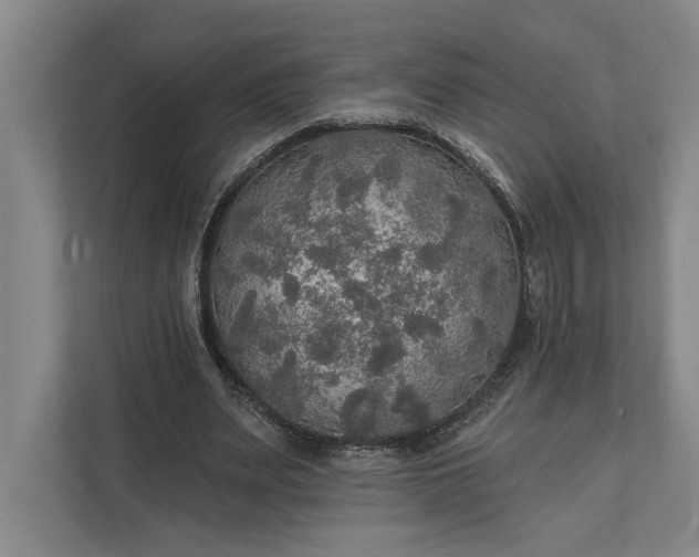 X0000112020487200908171433