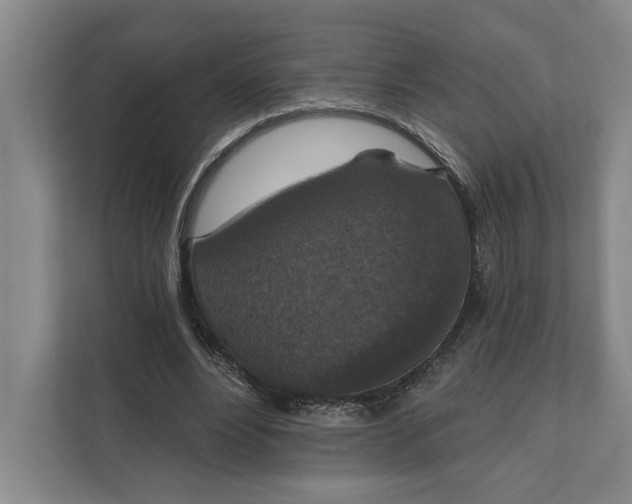 X0000112020488200908171433