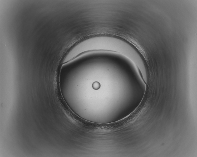 X0000112020489200908171433