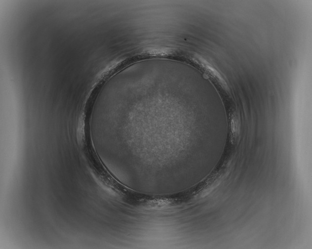 X0000112020492200908171433