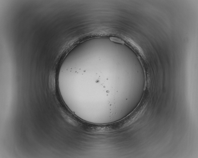 X0000112020493200908171433