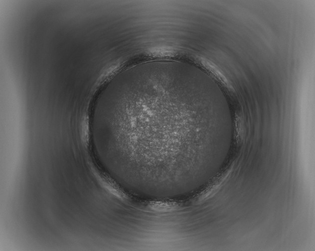 X0000112020494200908171433