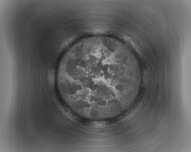 X0000112020495200908171433