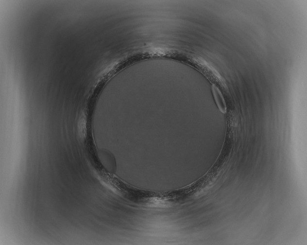 X0000112020496200908171433