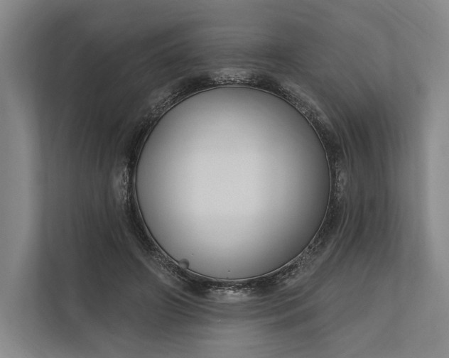 X0000112020498200908171433