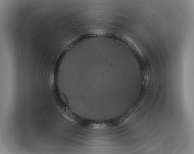 X0000112020500200908171433