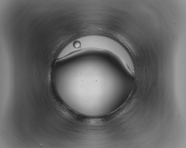 X0000112020501200908171433