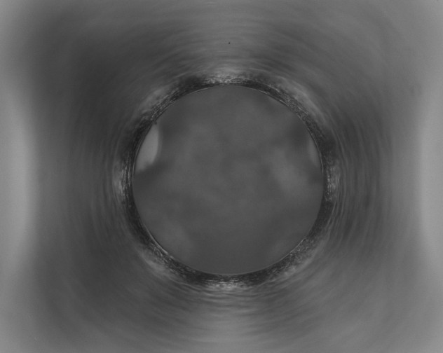 X0000112020503200908171433