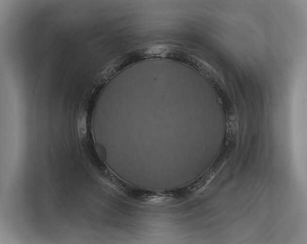 X0000112020504200908171433